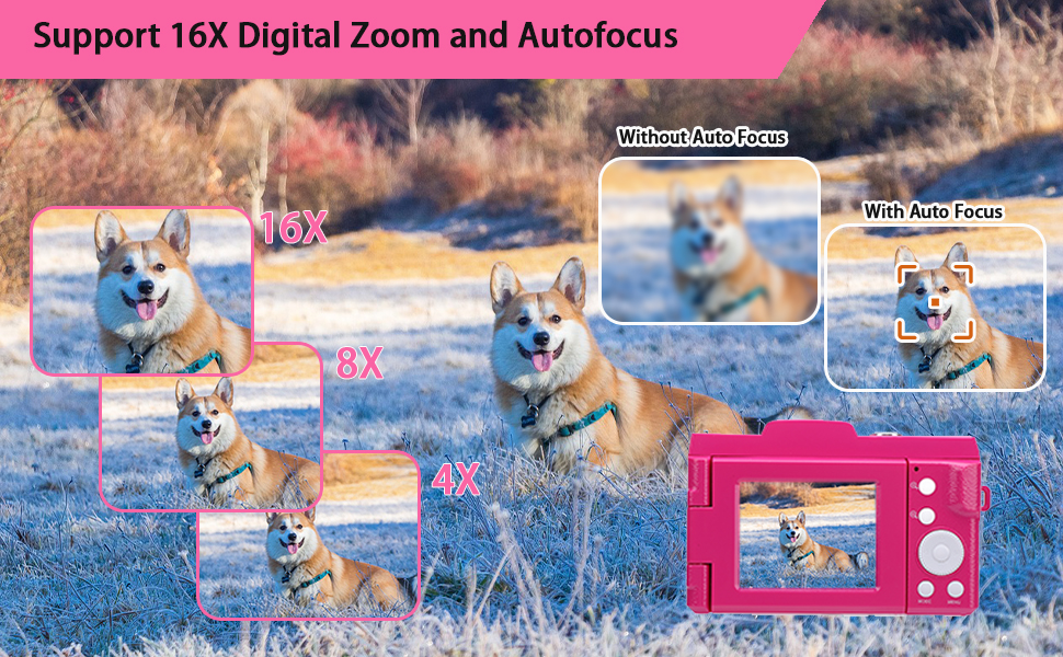 Digital Camera