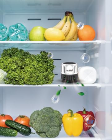 fridge deodorizer