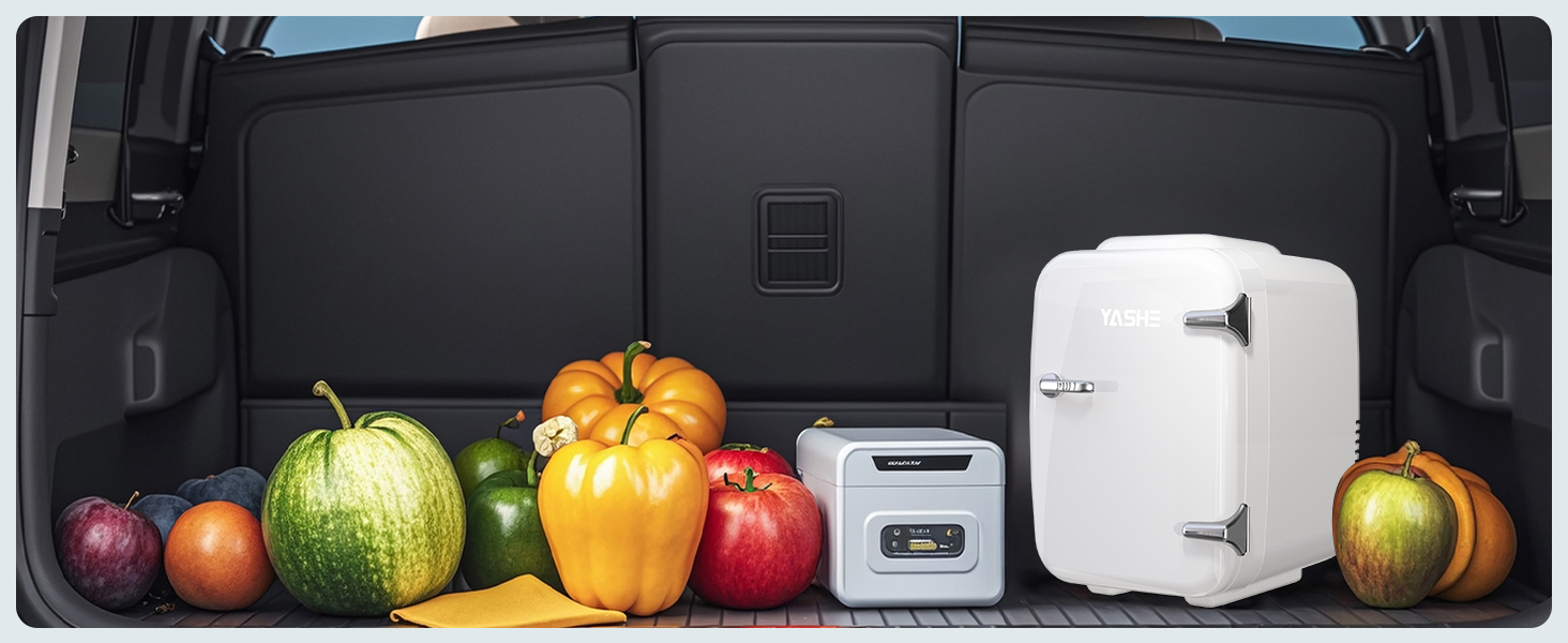 mini fridge