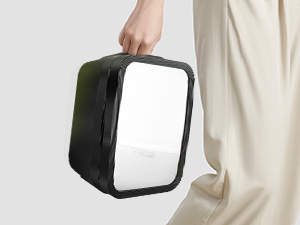 Mini Fridge Small Refrigerator Portable Thermoelectric Cooler and Warmer Fridge
