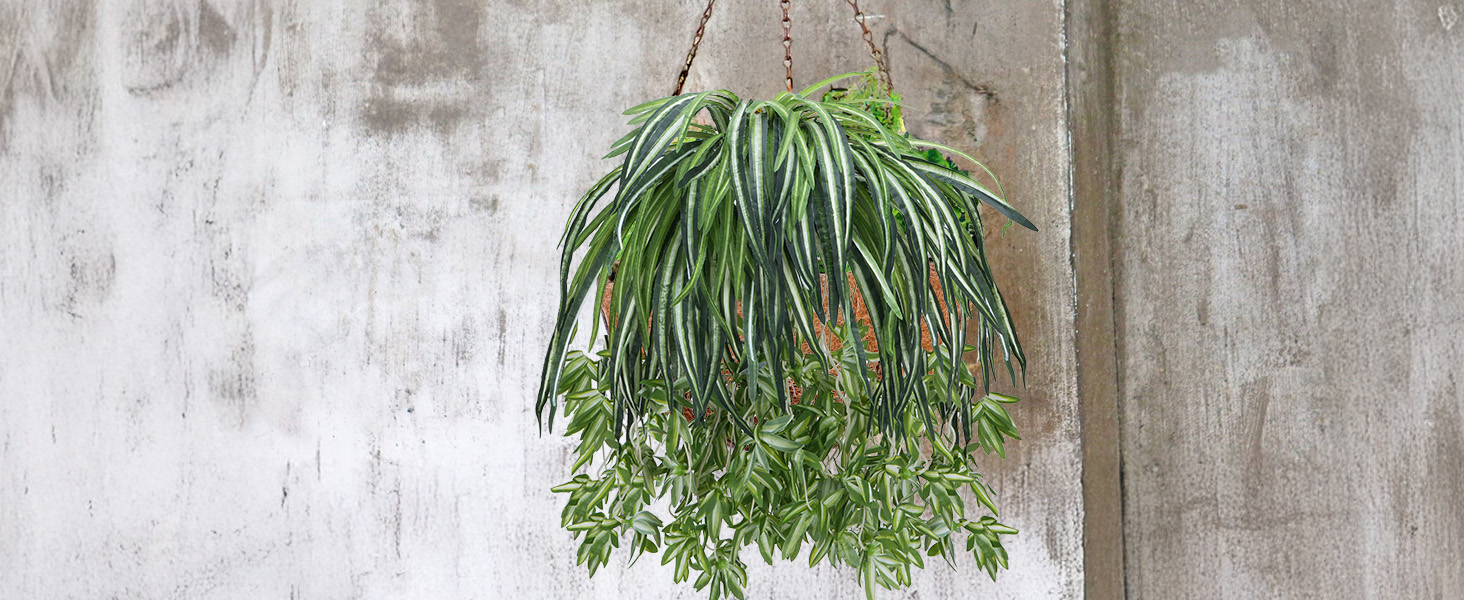 silk plants