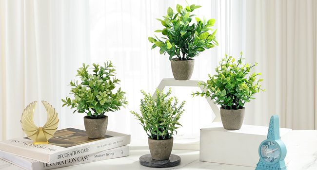 4 potted green plants