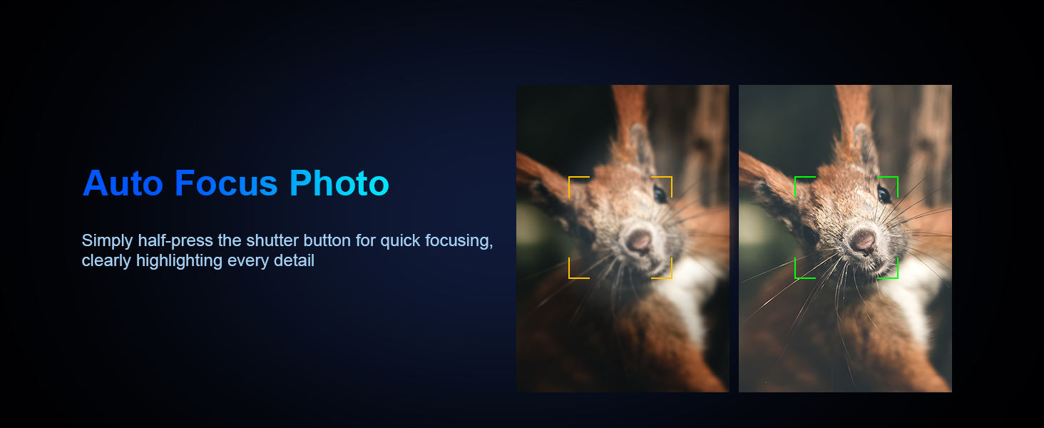 Auto Focus