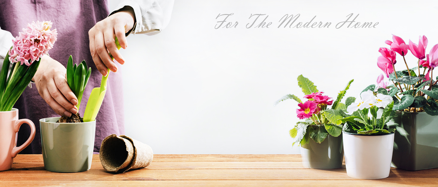 Hanging Baskets Flower Pot Holder