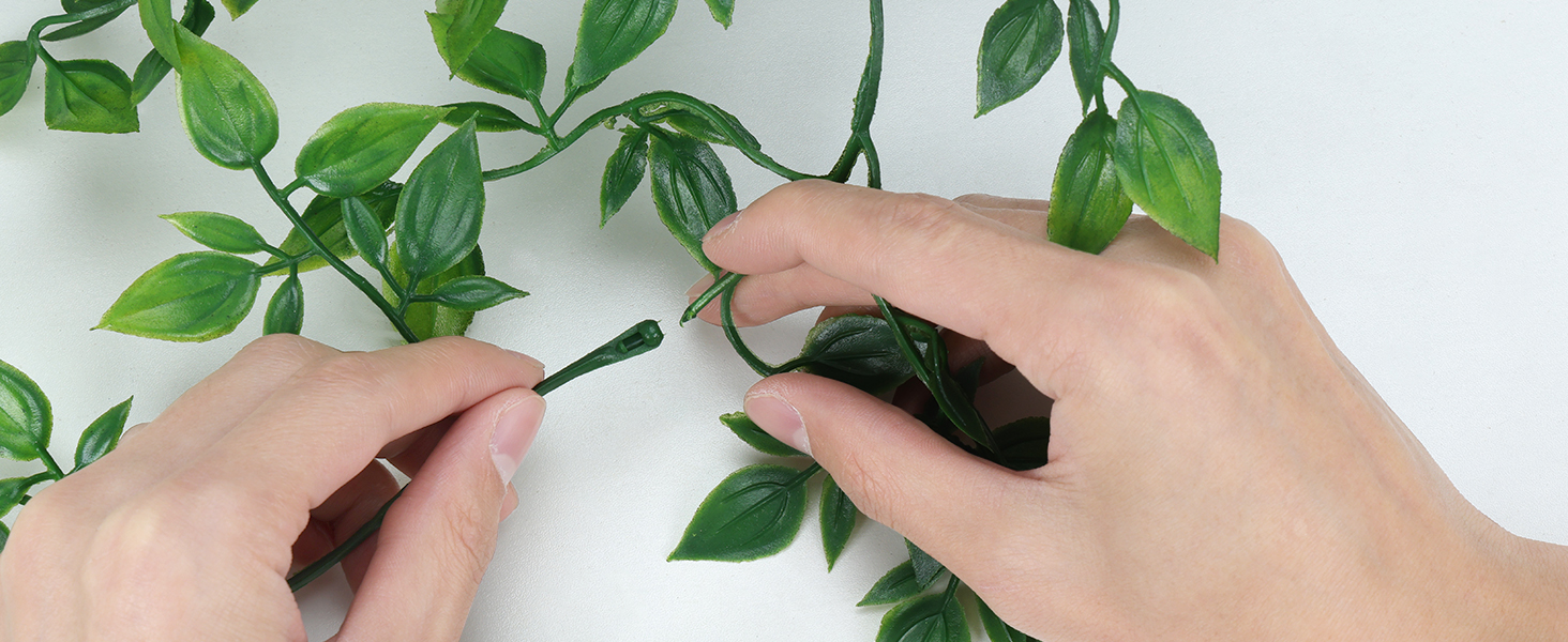 Branch