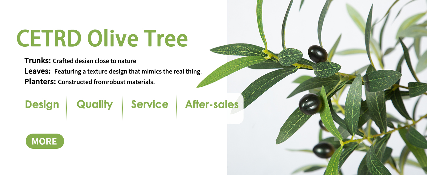 olive trees artificial indoor