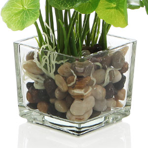 Set of 3 Artificial Plants, Faux Tabletop Greenery w/Clear Glass Pots