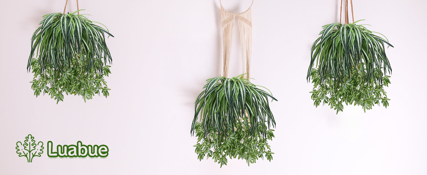 wall decorations
