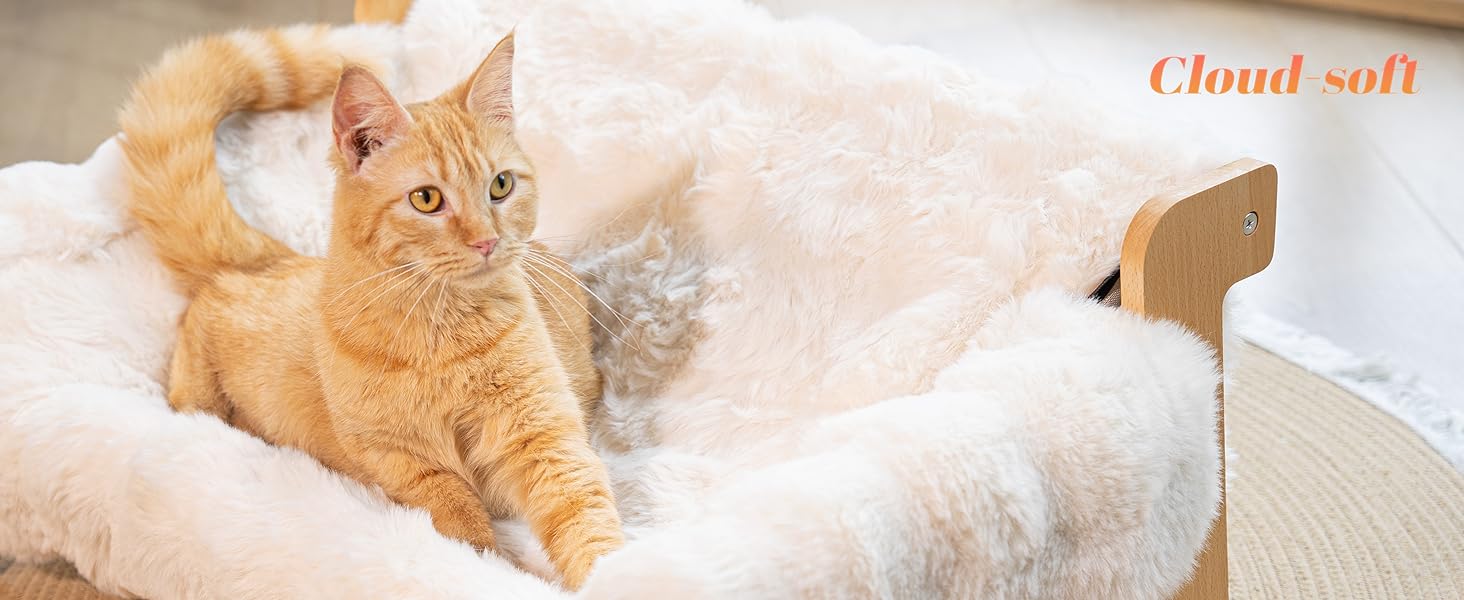 cat couch bed