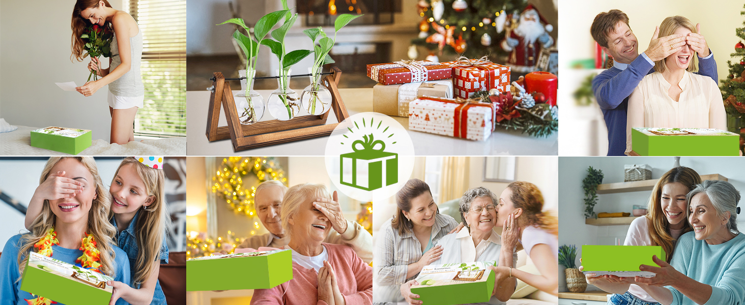 gifts for plant lovers