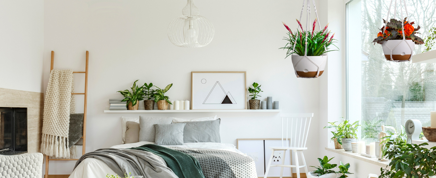 10 In Hanging Planters for Bedroom Indoor Plants