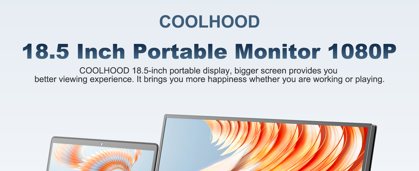 Portable Monitor 18.5