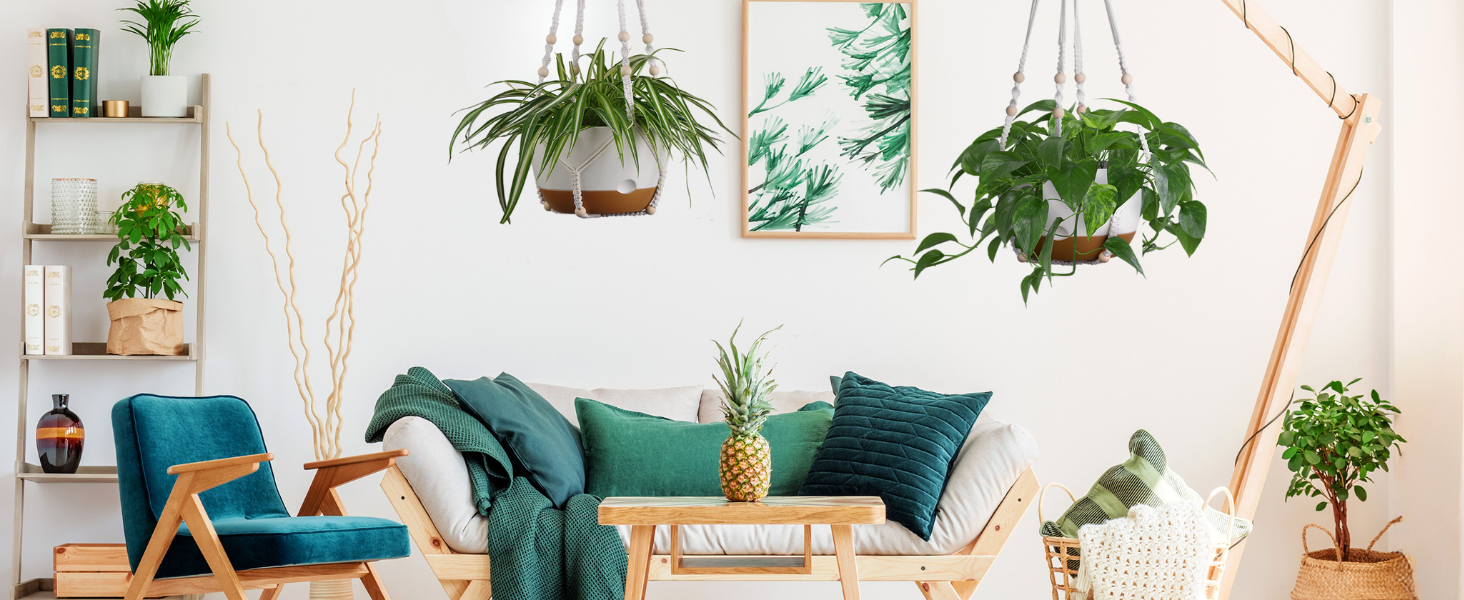 Hanging Planter Indoor for Your Living Room