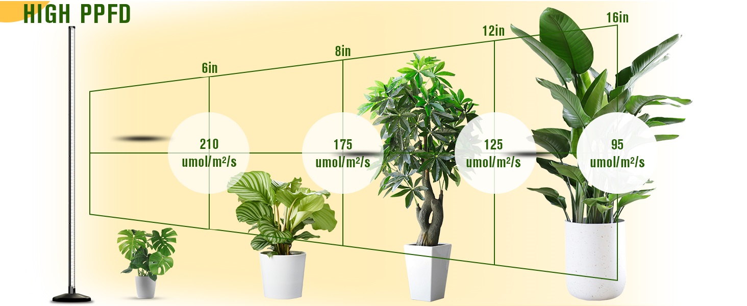 bedee LED Grow Light for Indoor Plants