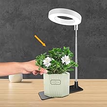 grow light