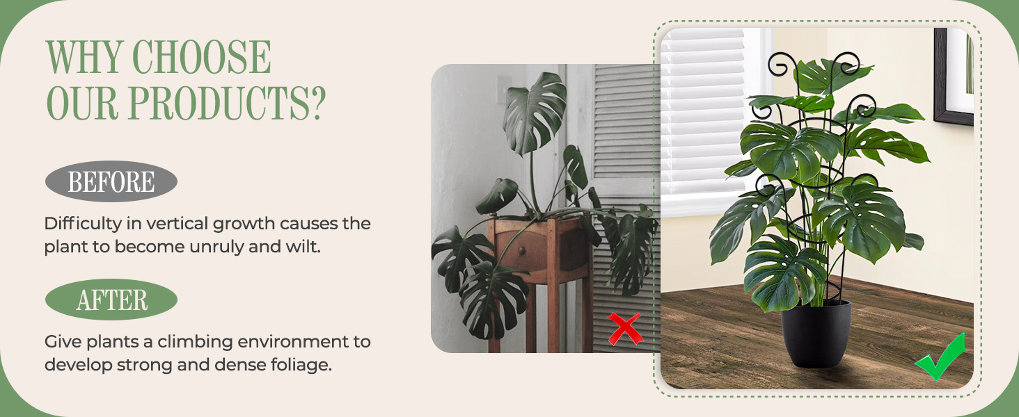 plants trellis