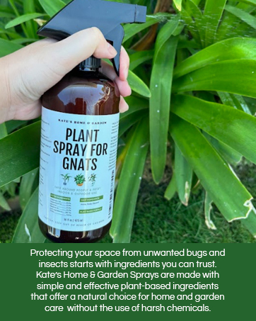 plant spray gnats bugs insects pests natural peppermint oil 