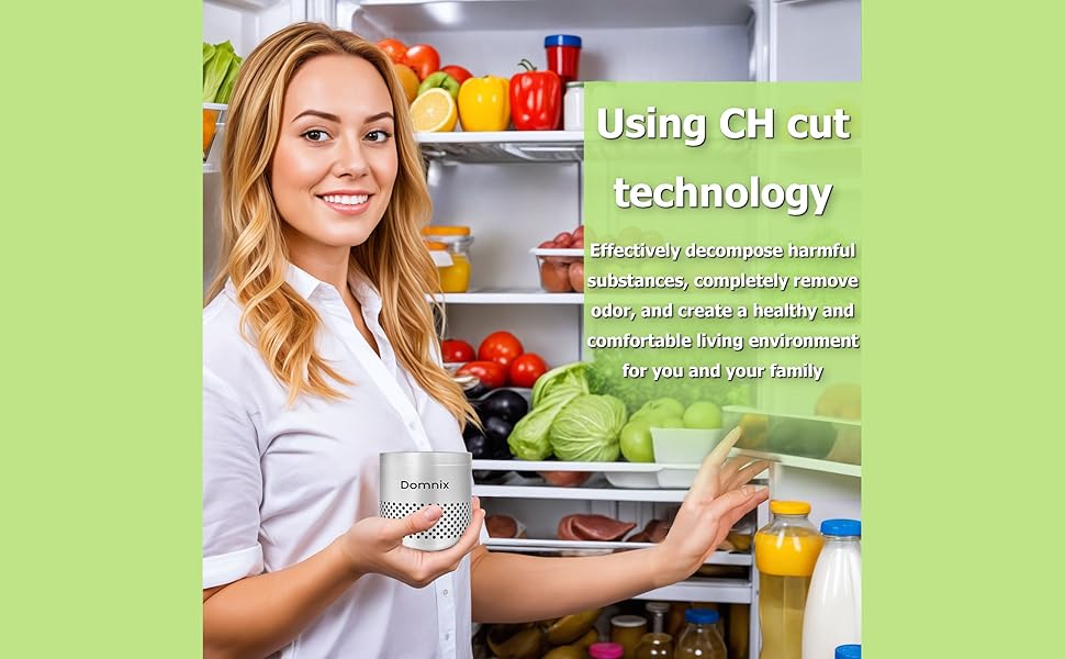 Air Purifier for Fridge and Home