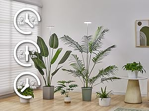 grow light
