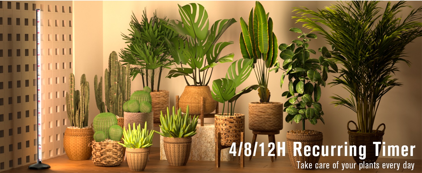bedee LED Grow Light for Indoor Plants