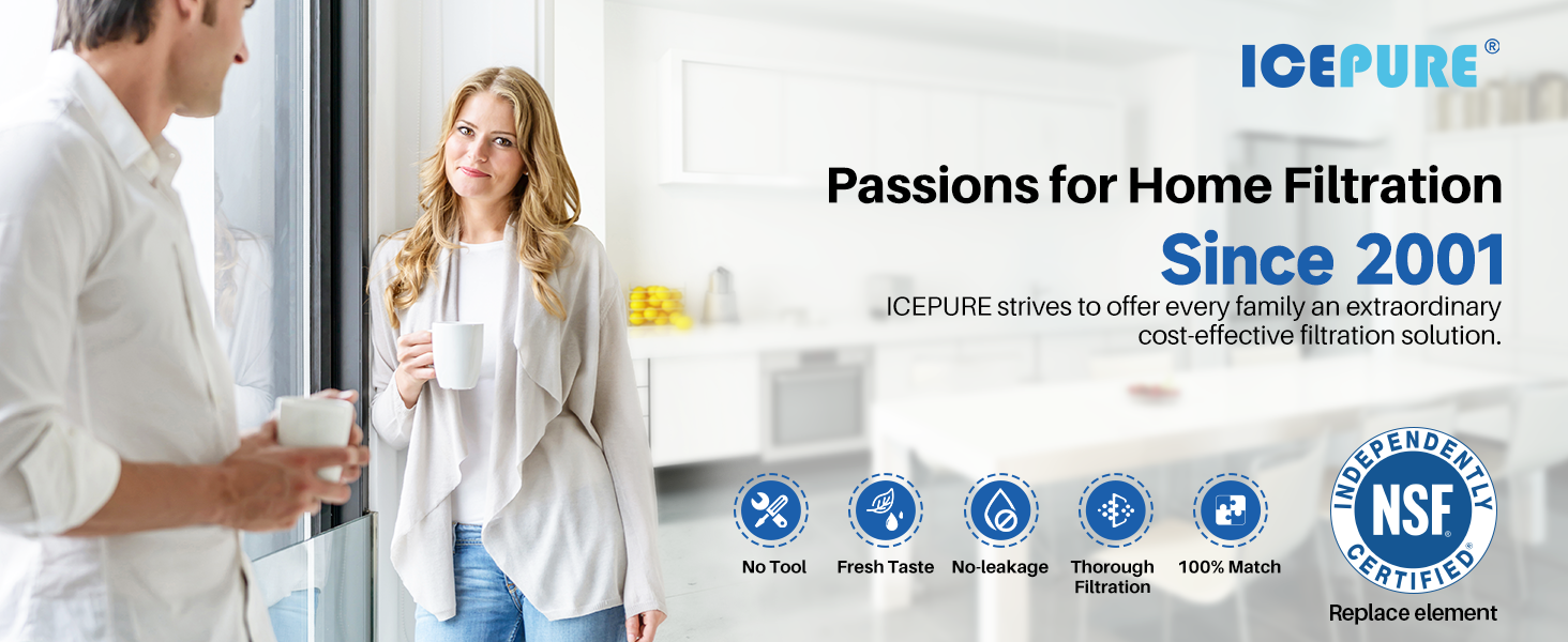 ICEPURE