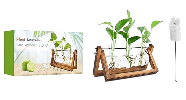 plant gifts