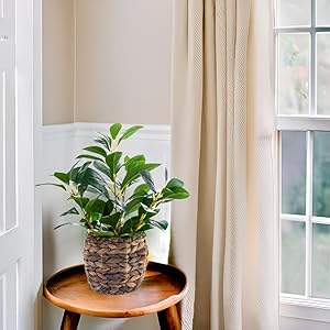Artificial Vibrant Plants for Indoor