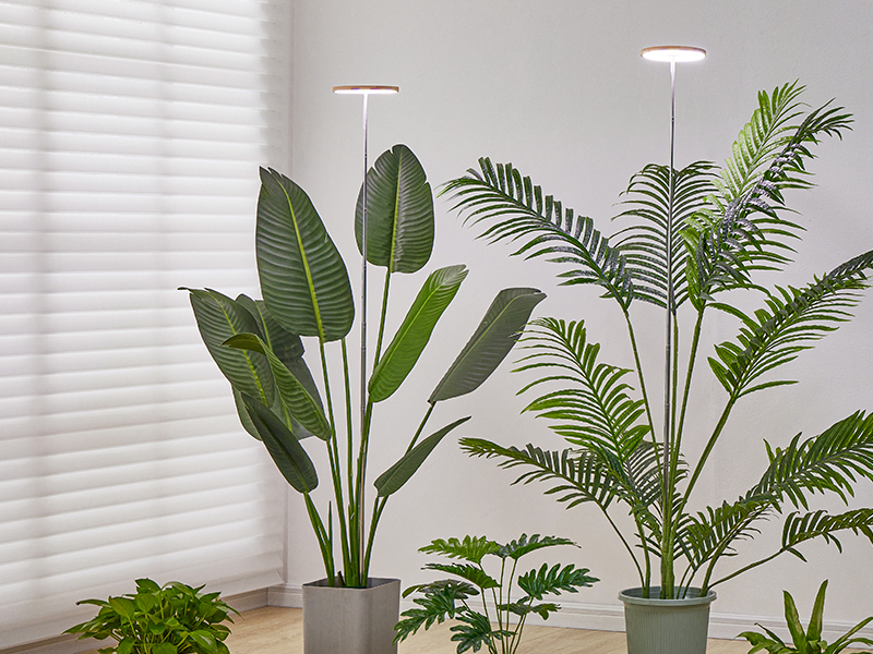 GROW LIGHT