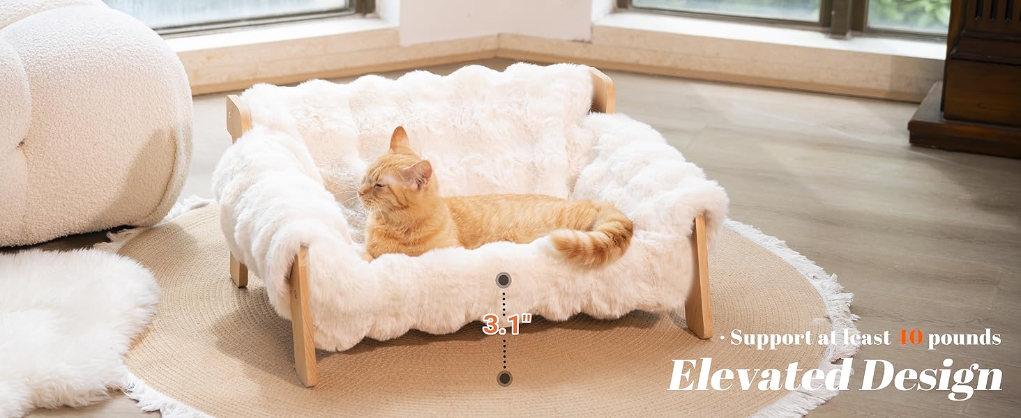 cat couch bed