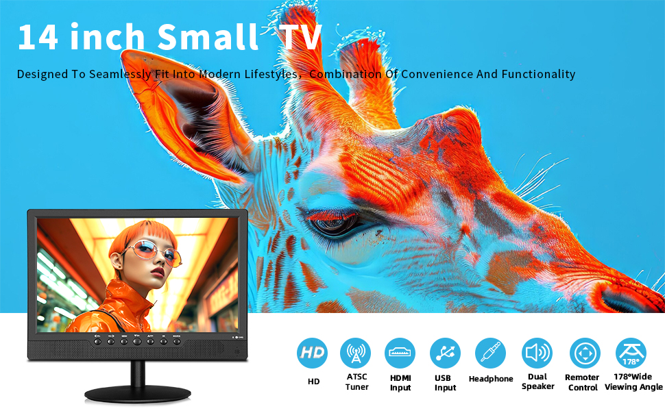 SMALL TV