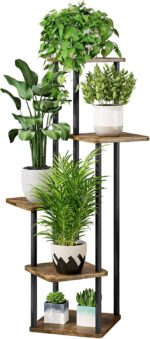 Indoor plants