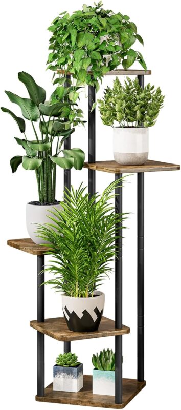 Indoor plants