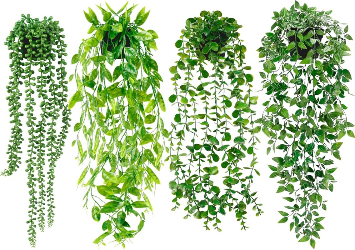 Indoor plants