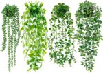 Indoor plants