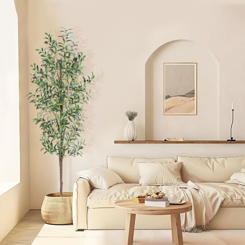 Indoor plants