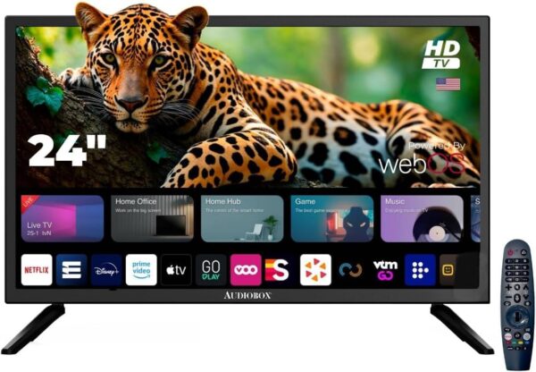 Audiobox TV-240SD 24-Inch Smart LED HDTV for RV, Camping | Magic Remote, webOS Hub, Bluetooth, Dual-Band WiFi, & 12V AC/DC Compatibility