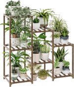 Indoor plants