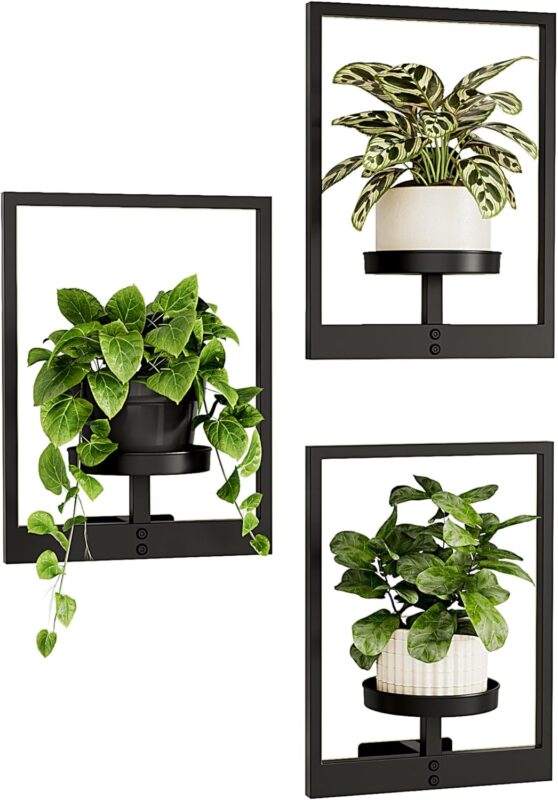 Indoor plants