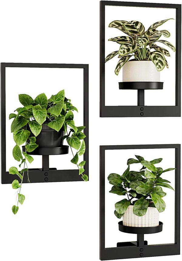 Bamworld Wall Planters for Indoor Plants Hanging Planter for Indoor Plants Plant Stand Indoor Wall Decor Hanger Window Plant Shelves 3 Pack for Living Room Outdoor Entryway