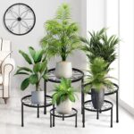 Indoor plants