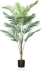 Indoor plants
