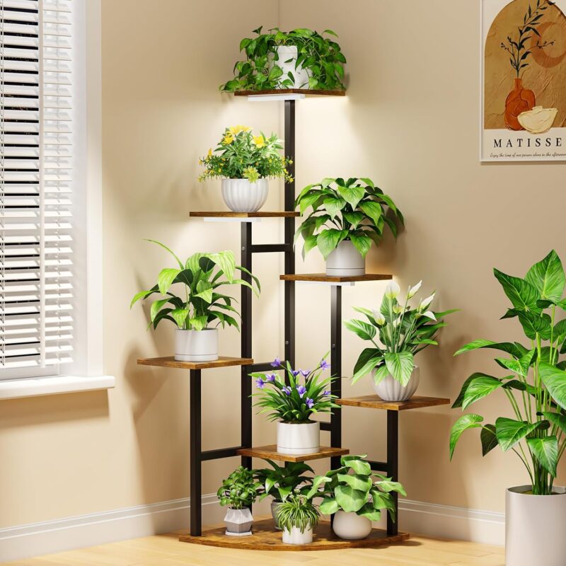 Indoor plants