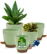 Indoor plants