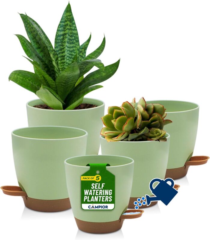 Indoor plants