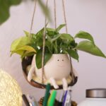 Indoor plants