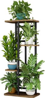 Indoor plants