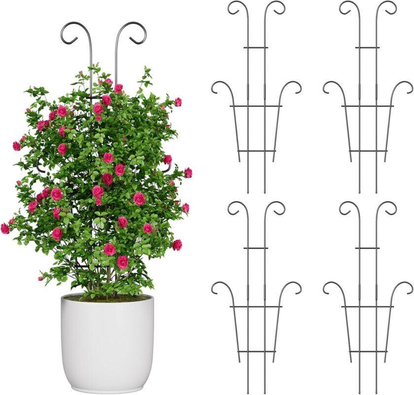 Indoor plants