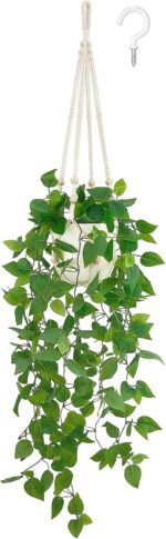 Indoor plants