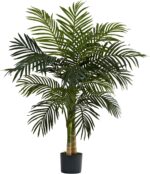 Indoor plants