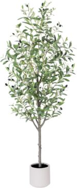 Indoor plants